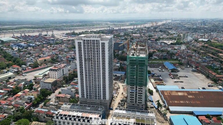 384-le-thanh-tong-1764234912.jpg