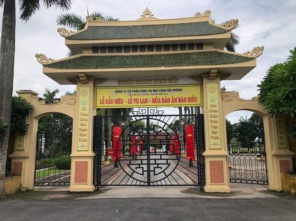 mai-tang-hai-phong-1773041504.webp