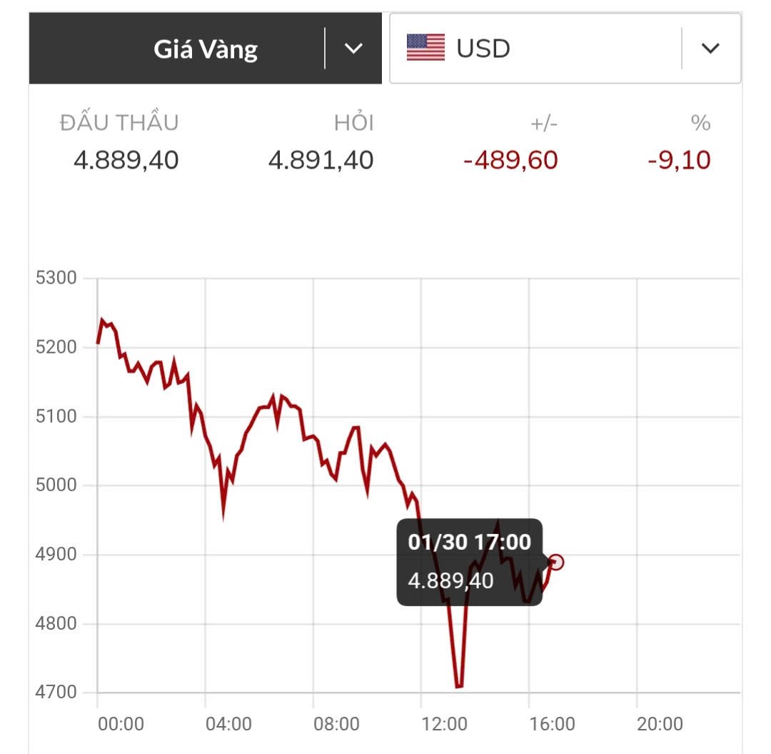 vang-the-gioi-311-1769830681.jpg