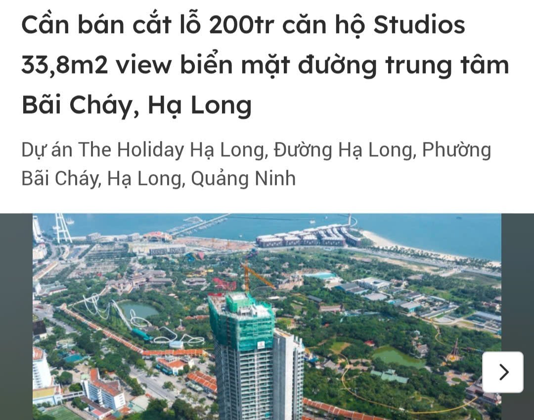the-holiday-ha-long-cat-lo-1762307153.jpg