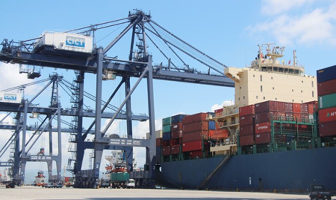 cang-cai-lan-1768550330.jpg