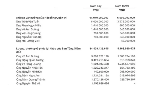 Trước khi PC1 bị nhà đầu tư tháo chạy ở giá sàn, Chủ tịch nhận thù lao 6,6 tỷ
