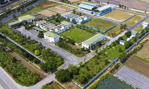 Nước sạch Bắc Ninh: thu nhập Tổng giám đốc tăng mạnh gần gấp đôi lợi nhuận