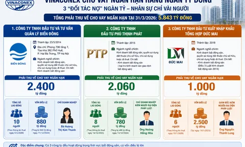 Những đối tác chỉ có vài nhân sự nhưng được Vinaconex cho vay ngàn tỷ
