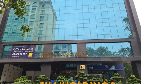 Choáng váng THD: Giá cổ phiếu tăng gấp 3 lần trong tháng 5, chỉ tiền chỉ là 1,8 tỷ đồng