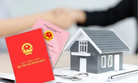 Yêu cầu nộp photo sổ đỏ để làm sạch dữ liệu đất đai: Lãnh đạo Cục Quản lý đất đai nói gì?