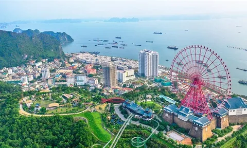 Tin vui cho hàng nghìn người dân tại Quảng Ninh: Chỉ vài trăm triệu là mua được nhà thôi