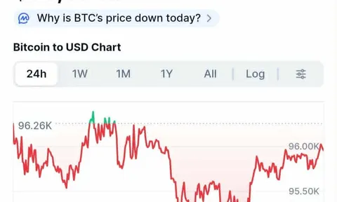 Bitcoin lao xuống 95.000 USD, nhà đầu tư choáng váng, bi kịch chưa hết đâu