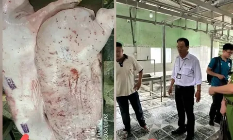 Thanh tra Chính phủ sẽ thanh tra 3 công ty chăn nuôi siêu to khổng lồ