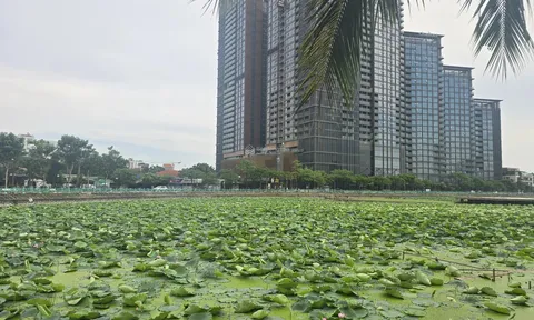 Hà Nội mở rộng đường quanh Hồ Tây: Đền bù “mệt”, có nhà ngót nghét ngàn tỷ