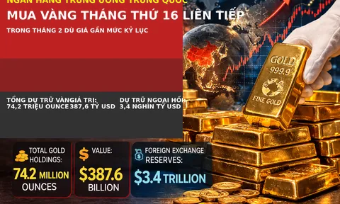 Tâm bất biến giữa dòng đời vạn biến: Kệ giá vàng tăng hay giảm, Trung Quốc miệt mài mua vàng